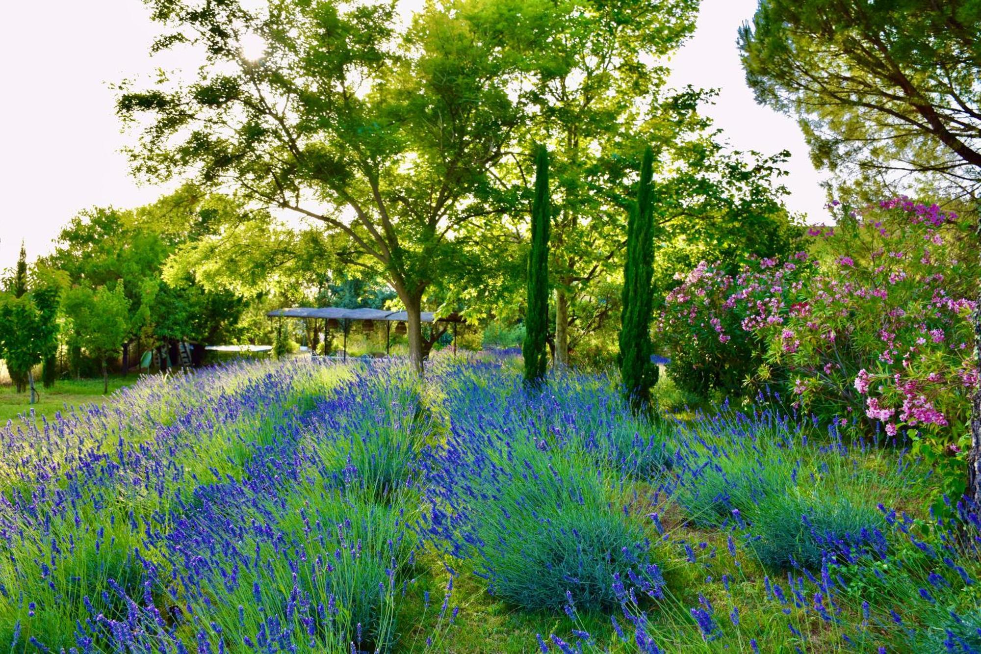 Bastide Saint-Didier Saint Didier  Экстерьер фото