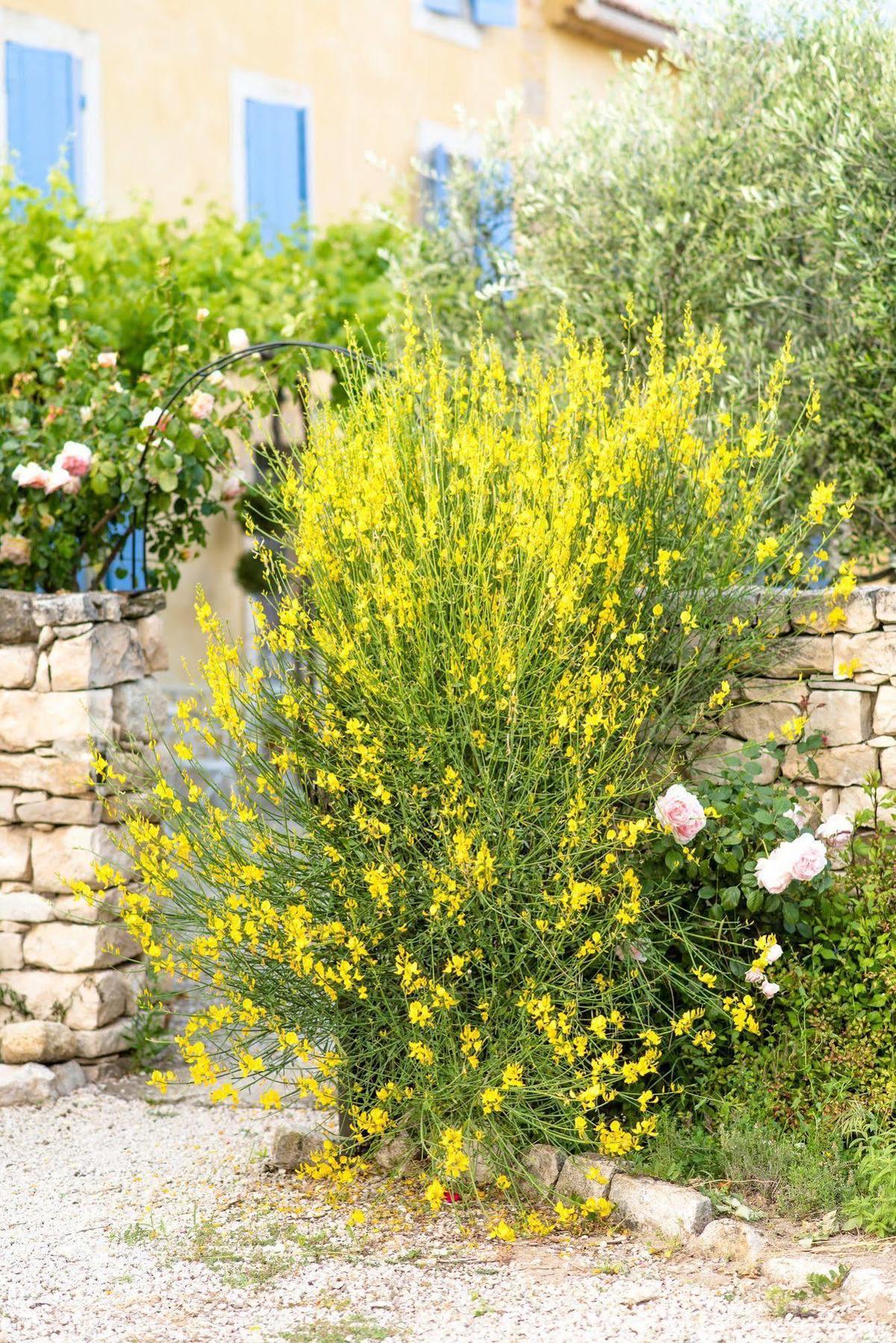 Bastide Saint-Didier Saint Didier  Экстерьер фото